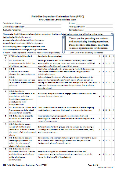 field site supervisor evaluation form