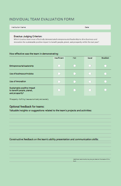 individual team evaluation form in pdf