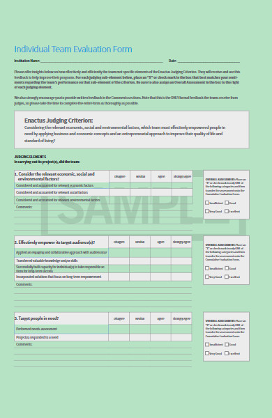 individual team evaluation form