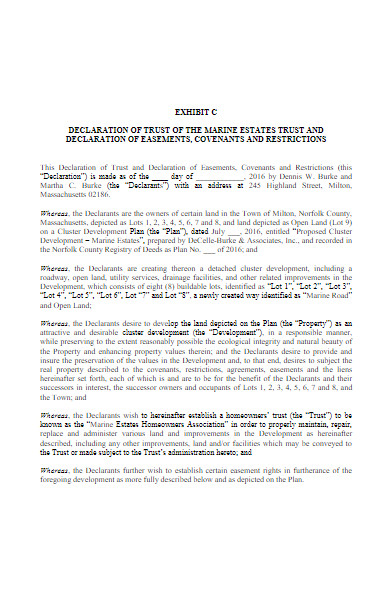 marine trust declaration form
