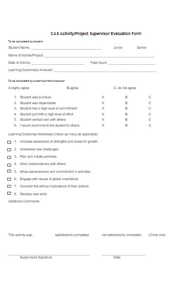 project supervisor evaluation form