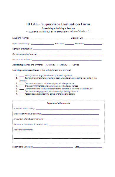 service supervisor evaluation form