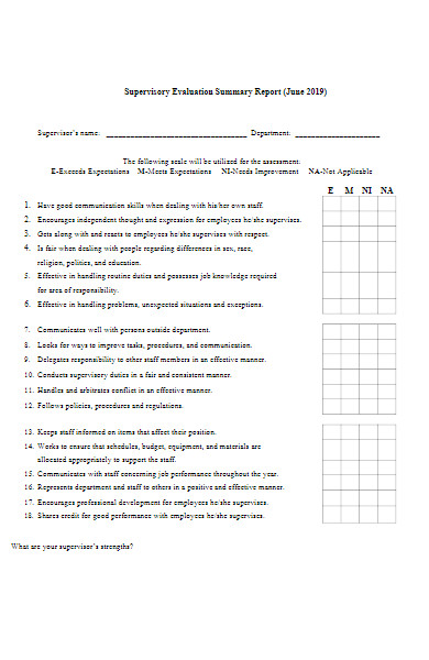 supervisory evaluation summary report form