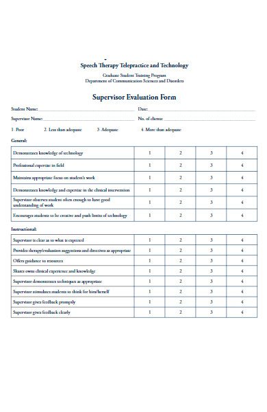 university supervisor evaluation form
