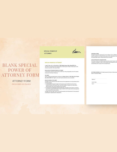 blank special power of attorney form