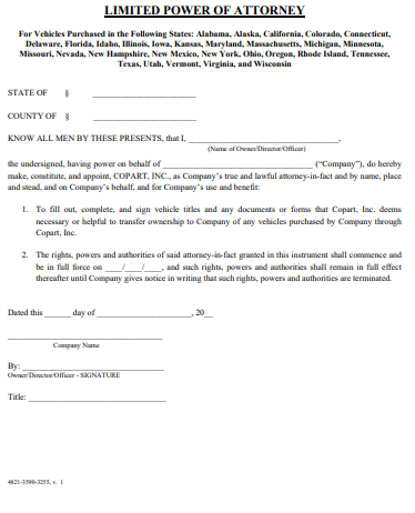 new hampshire limited power of attorney form