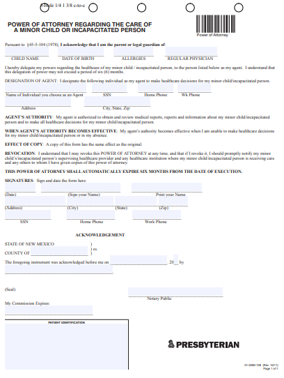 new mexico minor child power of attorney form
