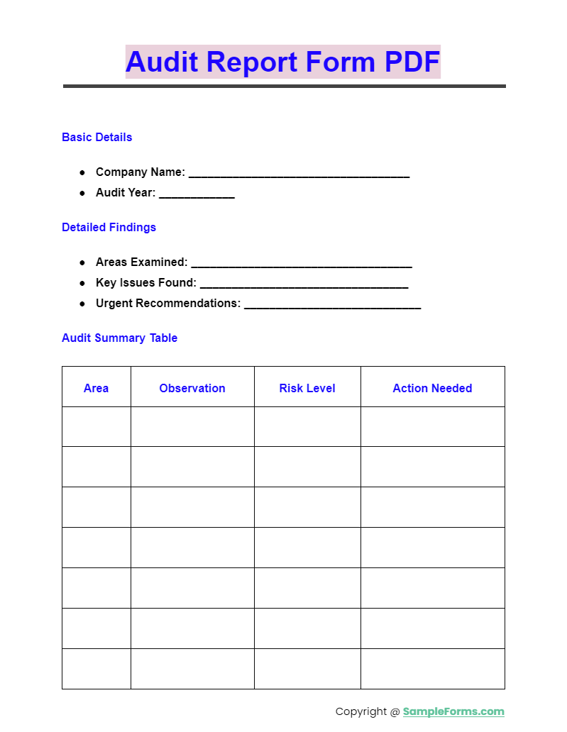 audit report form pdf