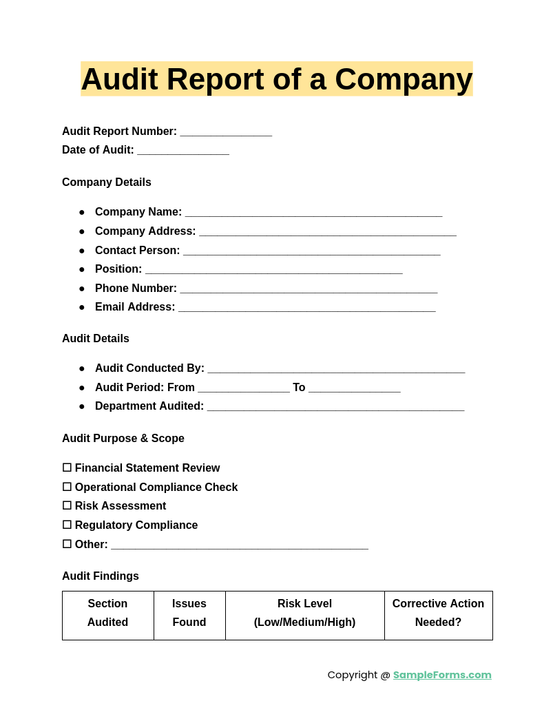 audit report of a company