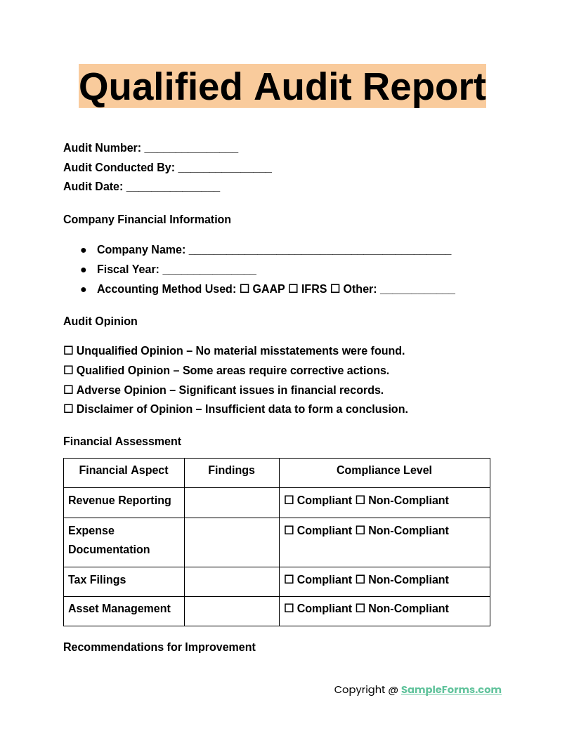 qualified audit report