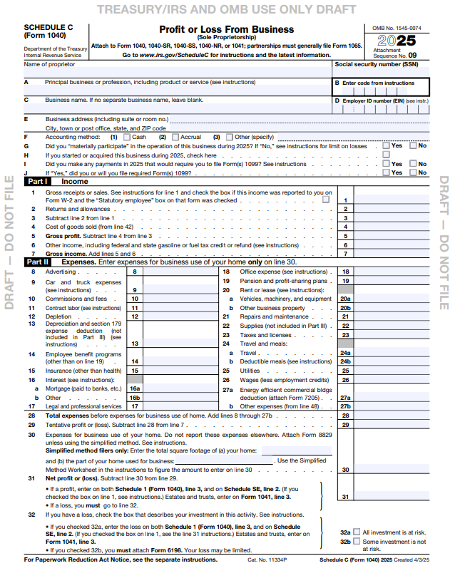 Profit or Loss Statement 2025
