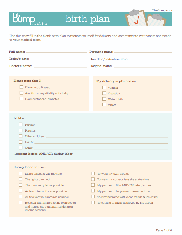 Birth Plan Template